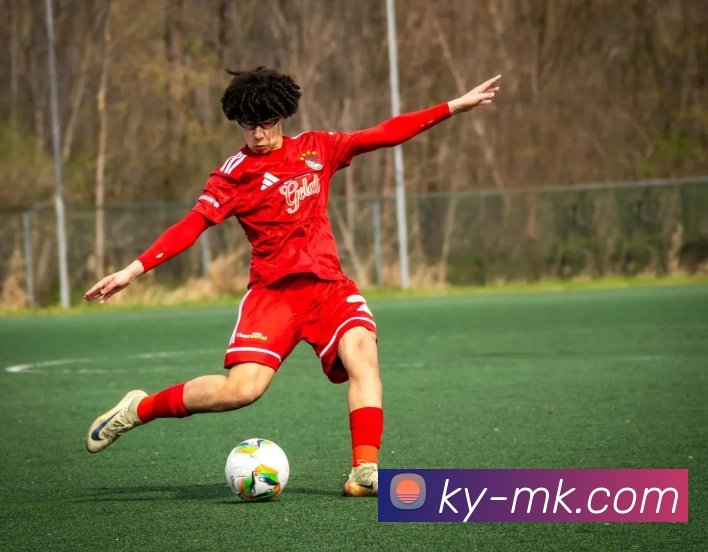 MK体育平台生态图