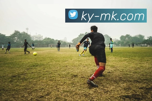 MK体育全站App