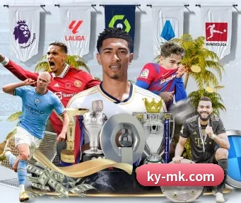 MK体育 APP