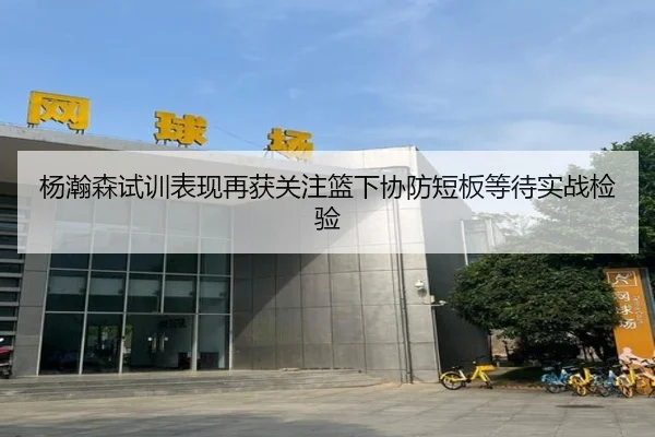 杨瀚森试训表现再获关注篮下协防短板等待实战检验